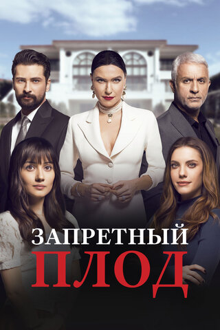 Смотреть Запретный плод 6 сезон онлайн бесплатно в HD качестве на русском языке